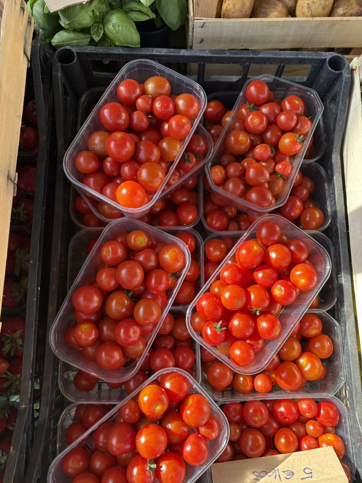 ČILJEŽINI KOŠARICA 0,5kg