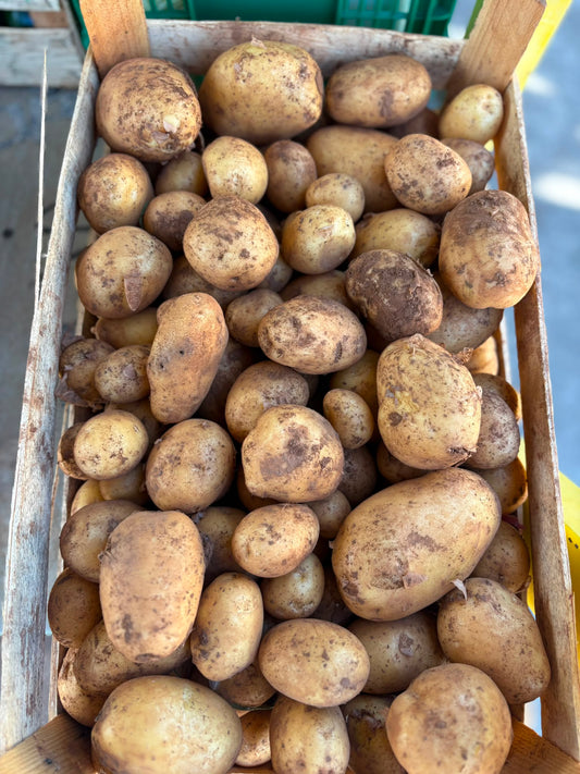 MLADI KRUMPIR 1kg