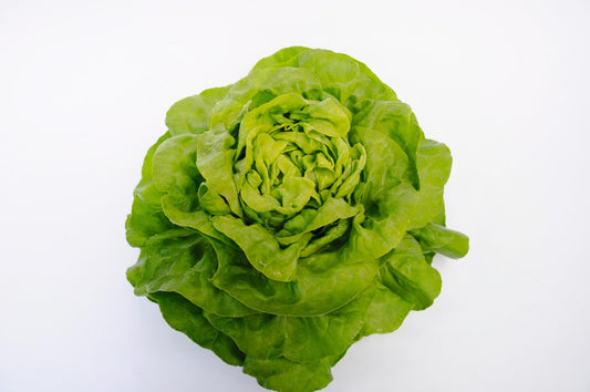 SALATA PUTERICA