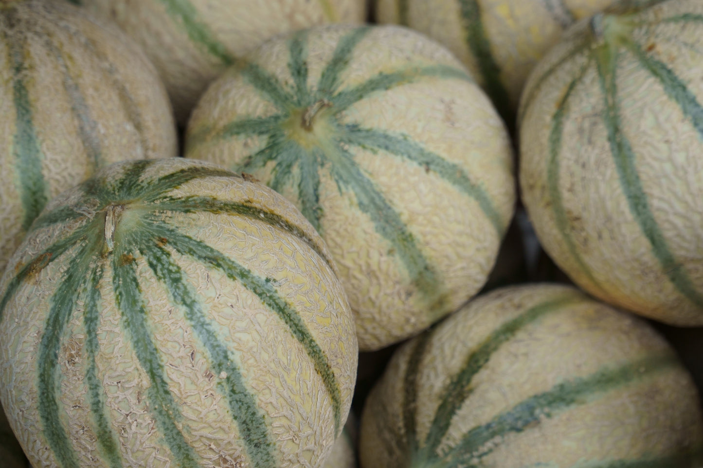 MELON 1kg