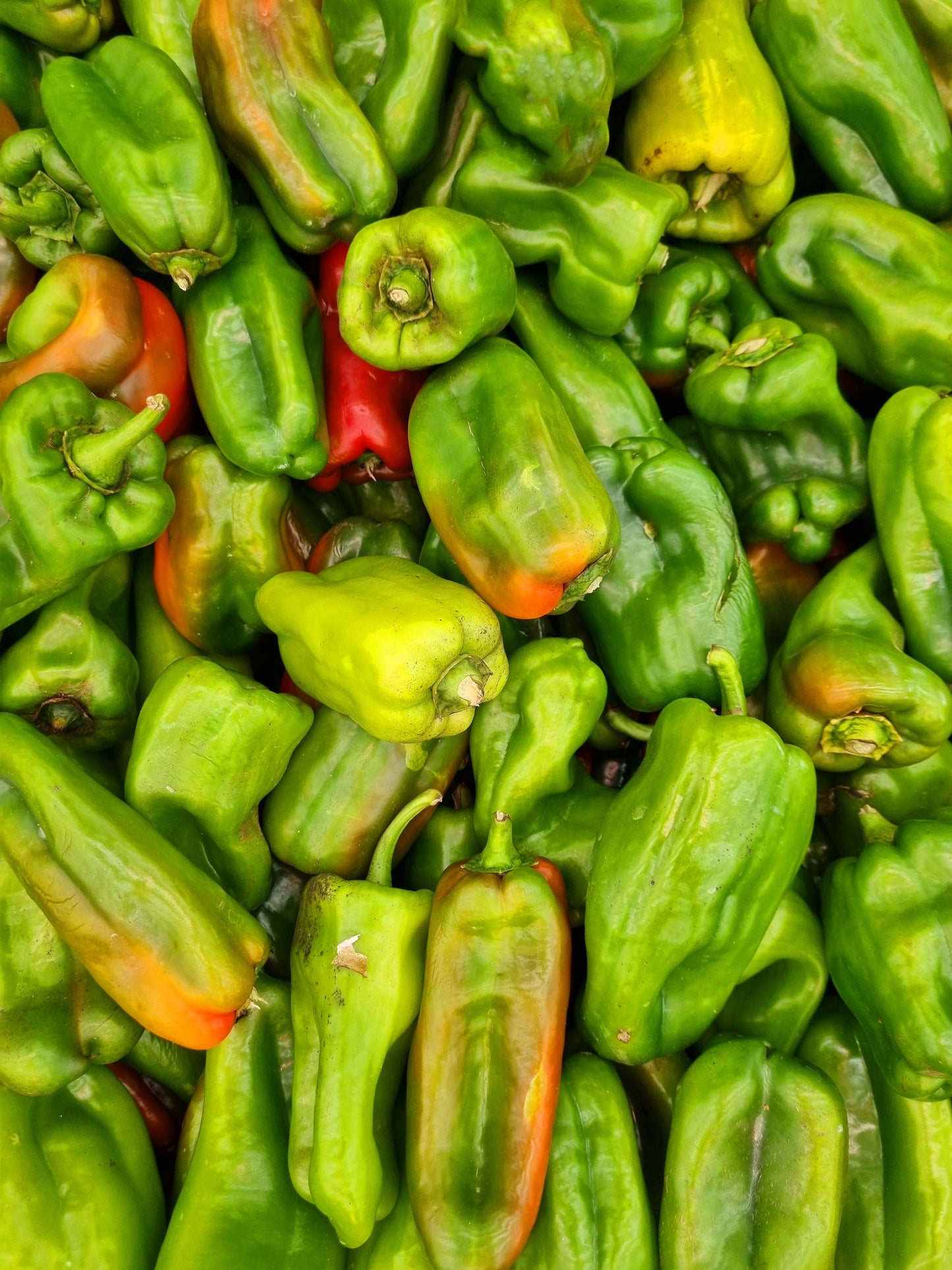 PAPRIKA ROG 1kg